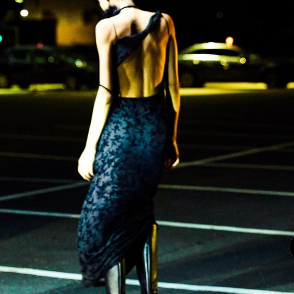 Zara Draped Flocked Dress